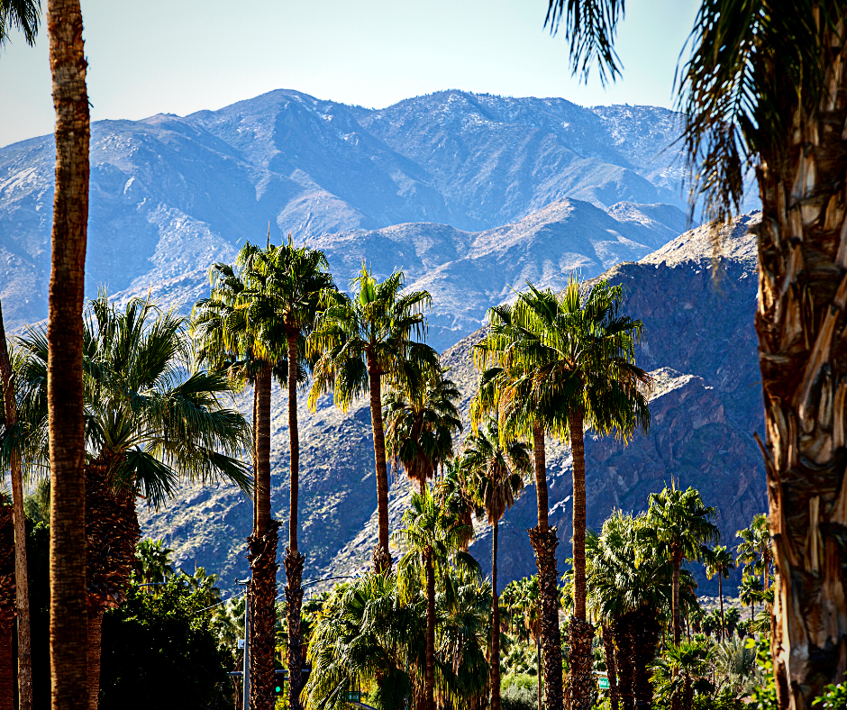 palm springs